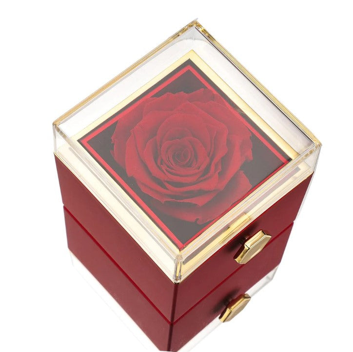 Eternal Rose Box With Intertwined Hearts Necklace
