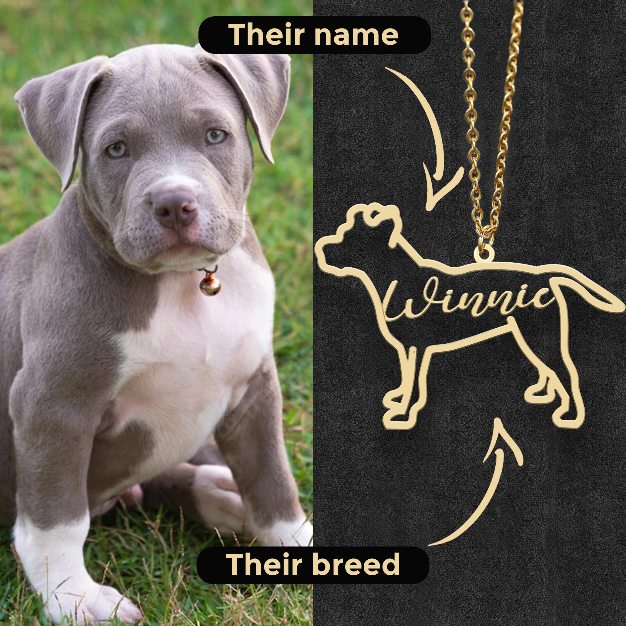 Personalized necklace with your dog's breed and name